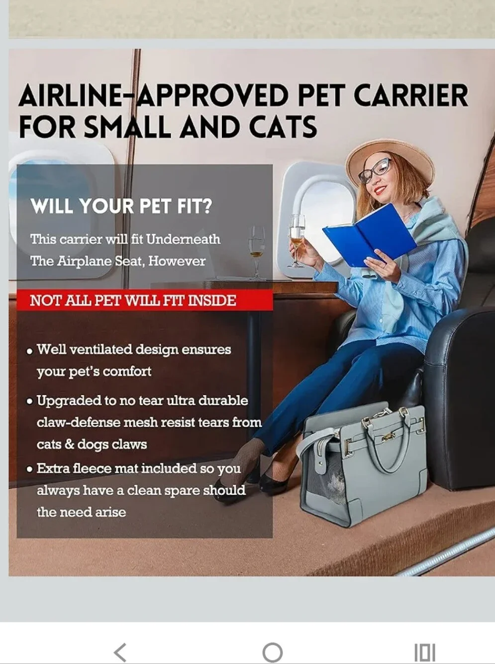 Luxury Bag Style Pet Carrier